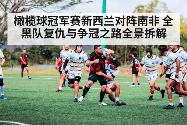 橄榄球冠军赛新西兰对阵南非 全黑队复仇与争冠之路全景拆解